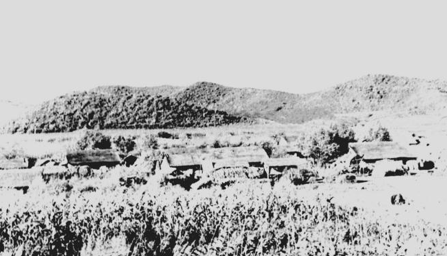 伟德体育 - 综合体育赛事平台|奥体中心相助同伴